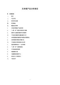 未来域房地产产品分析报告(DOC11)(1)