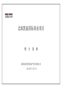 凯旋国际商业项目整合策略