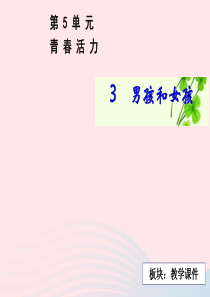 五年级科学下册 5.3《男孩和女孩》课件1 湘教版