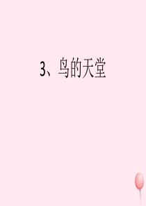 四年级语文上册 第一组 3《鸟的天堂》课堂教学课件1 新人教版