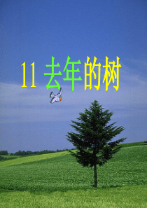 四年级语文上册 第三单元 11《去年的树》原创课件 鲁教版