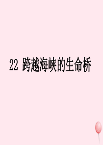 四年级语文上册 第六组 22《跨越海峡的生命桥》课堂教学课件3 新人教版