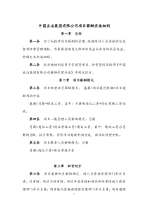 项目薪酬实施细则