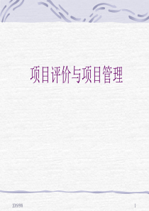 项目评价与项目管理（PPT 144页）