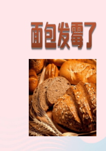 四年级科学下册 3 食物 5 面包发霉了课件3 教科版