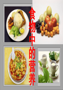 四年级科学下册 3 食物 2 食物中的营养课件8 教科版