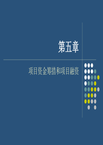 项目资金筹措和项目融资