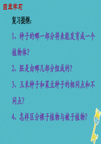 陕西省石泉县七年级生物上册 3.2.1种子的萌发课件1 （新版）新人教版