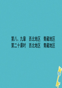山东省枣庄市2018年中考地理 八下 第八、九章 第20课时 西北地区 青藏地区课件