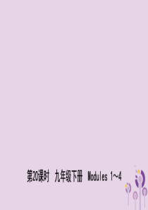 山东省潍坊市2019年中考英语总复习 第20课时 九下 Modules 1-4课件