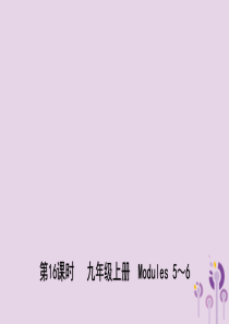 山东省潍坊市2019年中考英语总复习 第16课时 九上 Modules 5-6课件