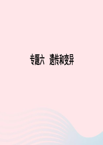 山东省潍坊市2019年中考生物 专题复习六 遗传与变异课件 济南版