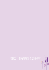 山东省潍坊市2019年中考历史总复习 专题二 中国的民族关系及对外交往课件