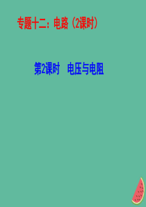 山东省郯城县中考物理 专题十二 电路 第2课时 电压与电阻复习课件