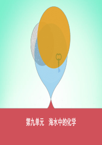 山东省泰安市2019中考化学复习 第一部分 基础过关 第九单元 海水中的化学课件