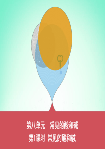 山东省泰安市2019中考化学复习 第一部分 基础过关 第八单元 常见的酸和碱 第1课时 常见的酸和碱