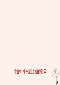 山东省济宁市2019年中考历史专题复习 专题六 中外历史上的重大改革课件