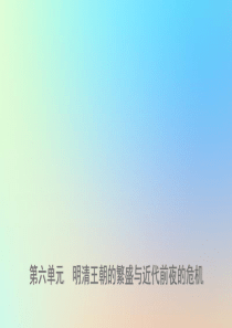 山东省济宁市2019年中考历史复习 第六单元 明清王朝的繁盛与近代前夜的危机课件