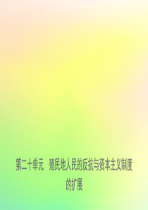 山东省济南市2019年中考历史总复习 九下 第二十单元 殖民地人民的反抗与资本主义制度的扩展课件 新