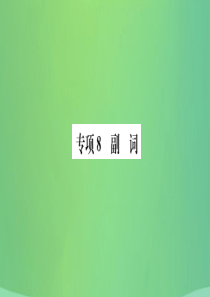 山东省德州市2019年中考英语 第二部分 专项语法 高效突破 专项8 副词课件
