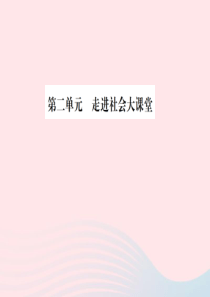 山东省德州市2019年中考道德与法治总复习 九年级 第二单元 走进社会大课堂课件