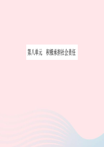 山东省德州市2019年中考道德与法治总复习 九年级 第八单元 积极承担社会责任课件