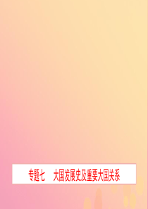 山东省2019年中考历史专题复习 专题七 大国发展史及重要大国关系课件（五四制）