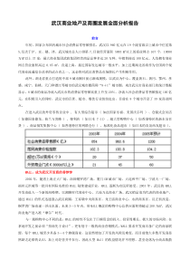 武汉商业地产及商圈发展全面分析报告