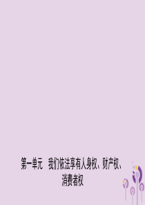 山东省2019年中考道德与法治总复习 八上 第一单元 我们依法享有人身权、财产权、消费者权课件