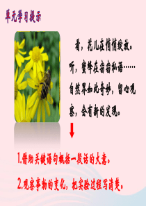 三年级语文下册 第四单元 13《花钟》课堂教学课件3 新人教版