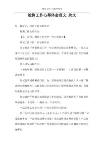 检测工作心得体会范文 杂文