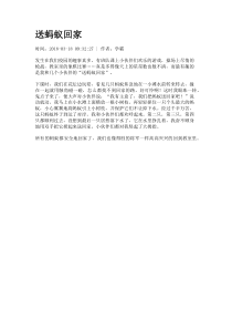 送蚂蚁回家