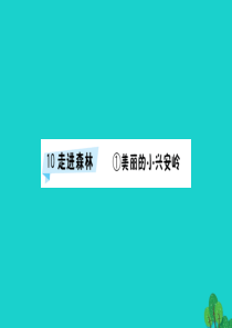 三年级语文下册 10《走进森林》美丽的小兴安岭习题课件 北师大版