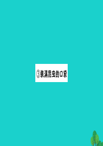 三年级语文下册 4《观察与发现》装满昆虫的口袋预习课件 北师大版