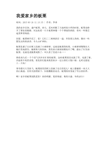我爱家乡的板栗