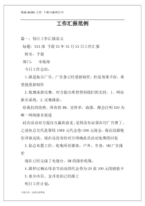 工作汇报范例