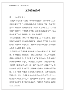 工作经验范例