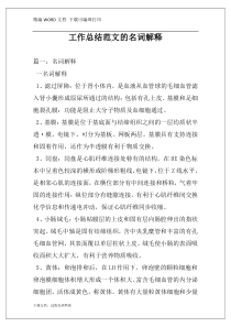 工作总结范文的名词解释