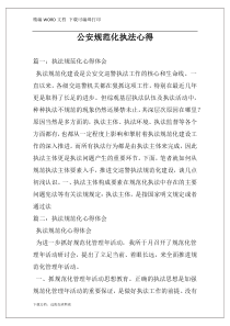 公安规范化执法心得