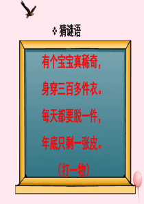 三年级数学下册 8《年、月、日》导入素材 浙教版