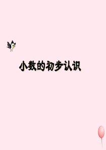三年级数学下册 5.1《小数的初步认识》课件3 西师大版