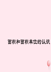 三年级数学下册 2.1《面积和面积单位》课件9 西师大版
