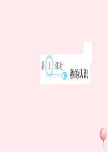 三年级数学上册 一 时、分、秒 第1课时 秒的认识习题课件 新人教版