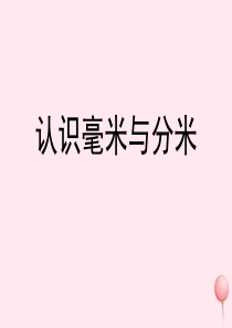 三年级数学上册 三 绿色的田野 15《认识毫米与分米》参考课件 浙教版