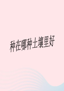 三年级科学下册 三 植物生活的土地 3《种在哪种土壤里好》课件2 新人教版