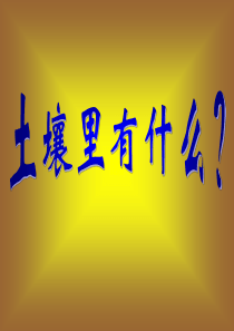 三年级科学下册 三 植物生活的土地 1《土壤里有什么》课件1 新人教版