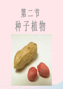 三年级科学下册 二 植物的生长 第1课《植物的种子》课件2 新人教版