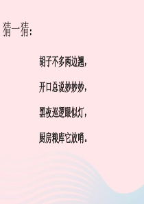 三年级科学下册 第四单元 第17课《猫和兔》课件2 青岛版五四制