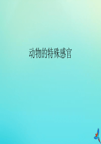 三年级科学下册 第2单元《动植物对环境的适应》第九课 动物的特殊感官课件 冀人版
