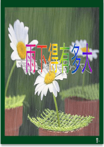 三年级科学下册 2.4《雨下的有多大》课件2 湘教版